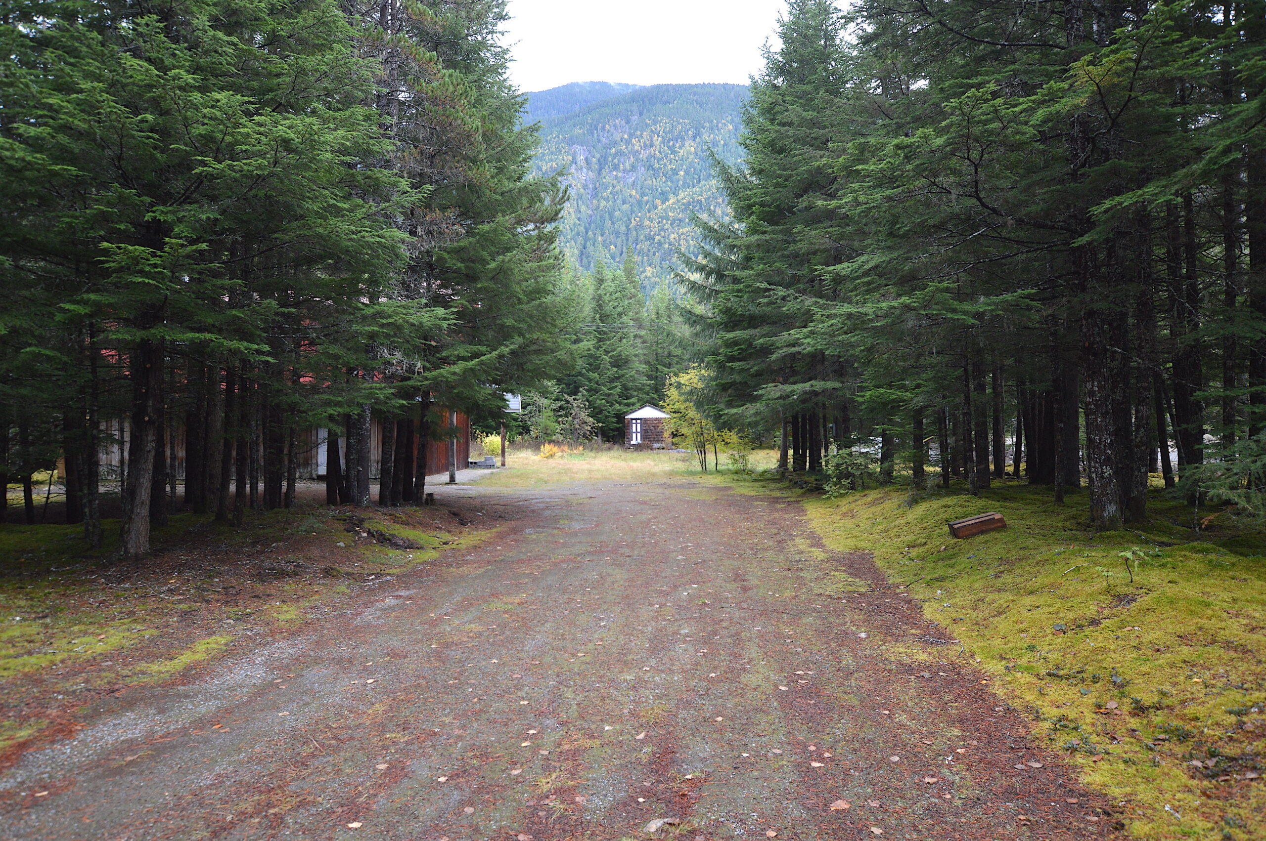 Driveway looking in