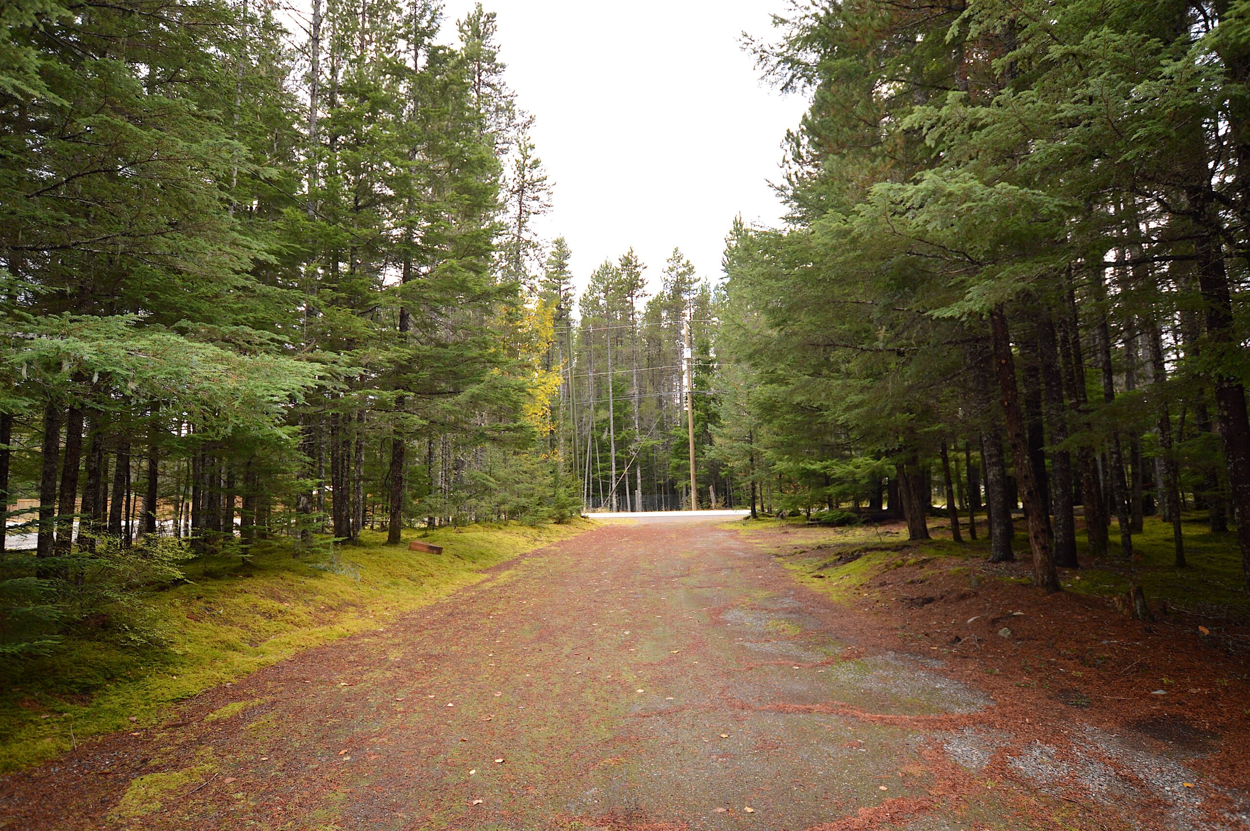 Driveway to road