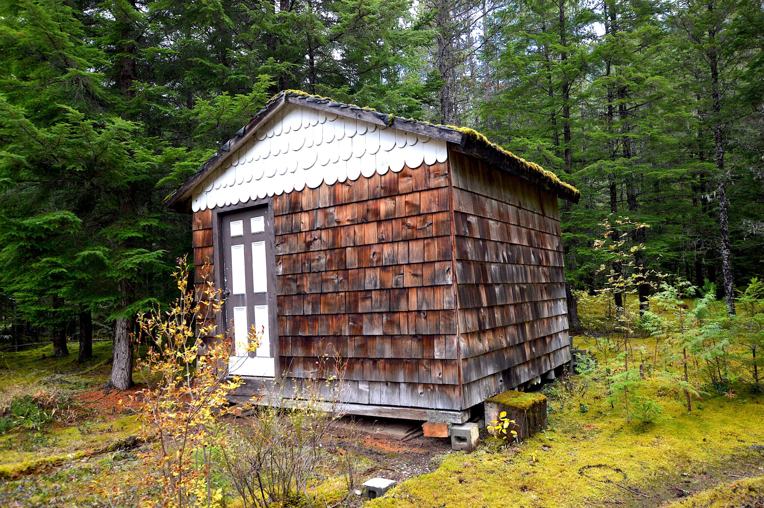 Shed 2