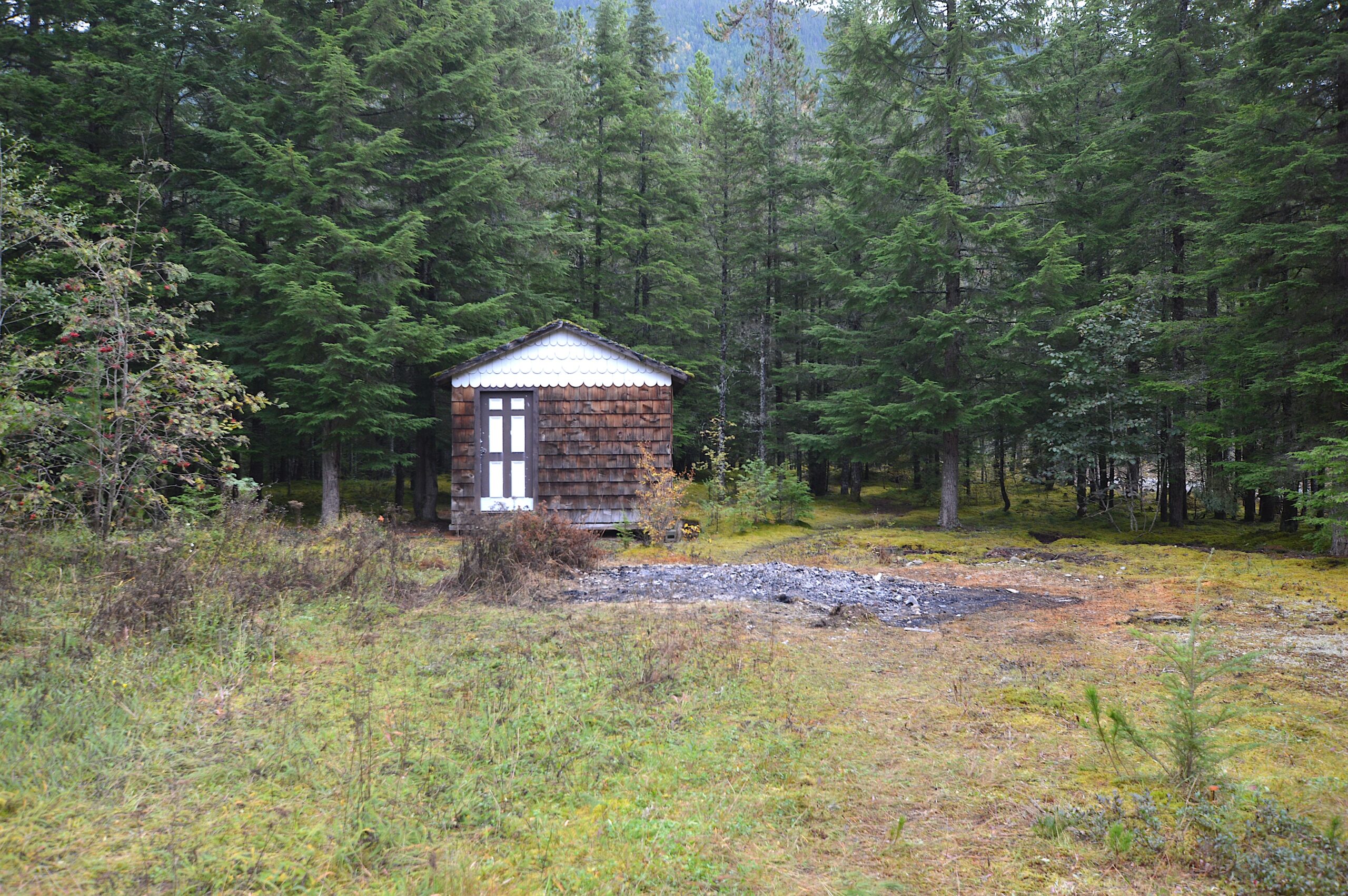 Shed