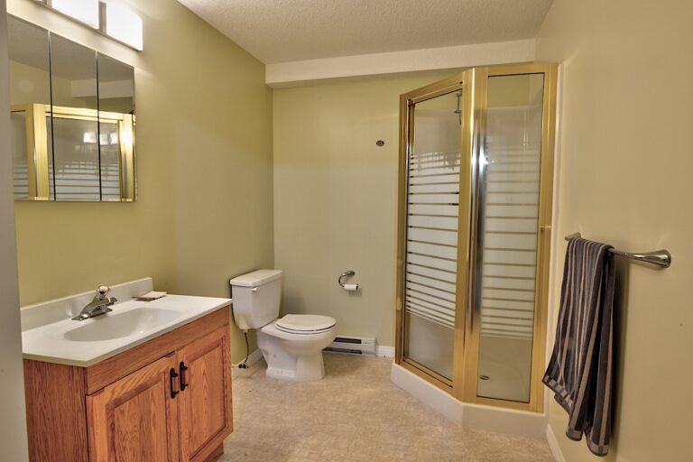 Basement Bathroom copy