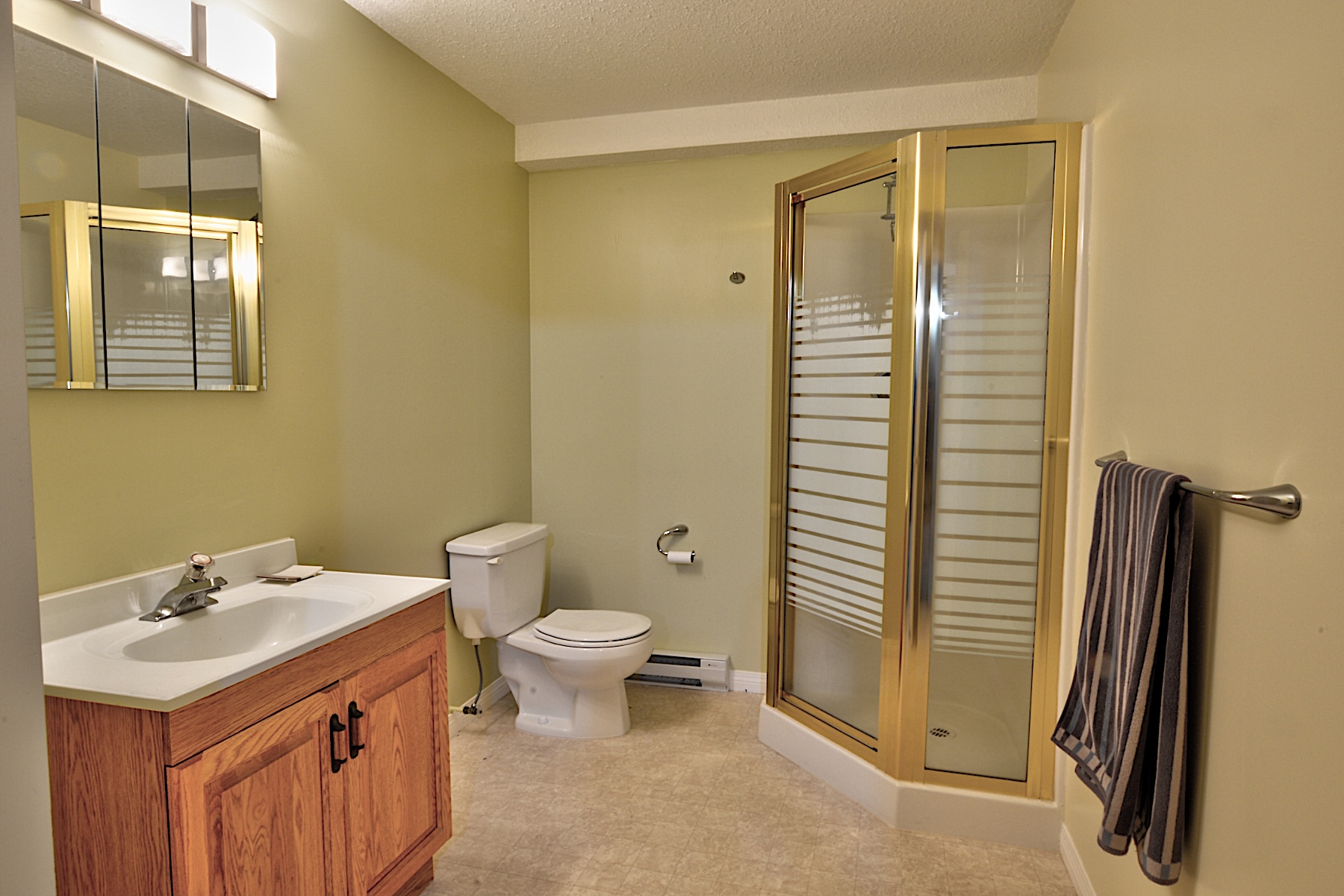 Basement Bathroom copy