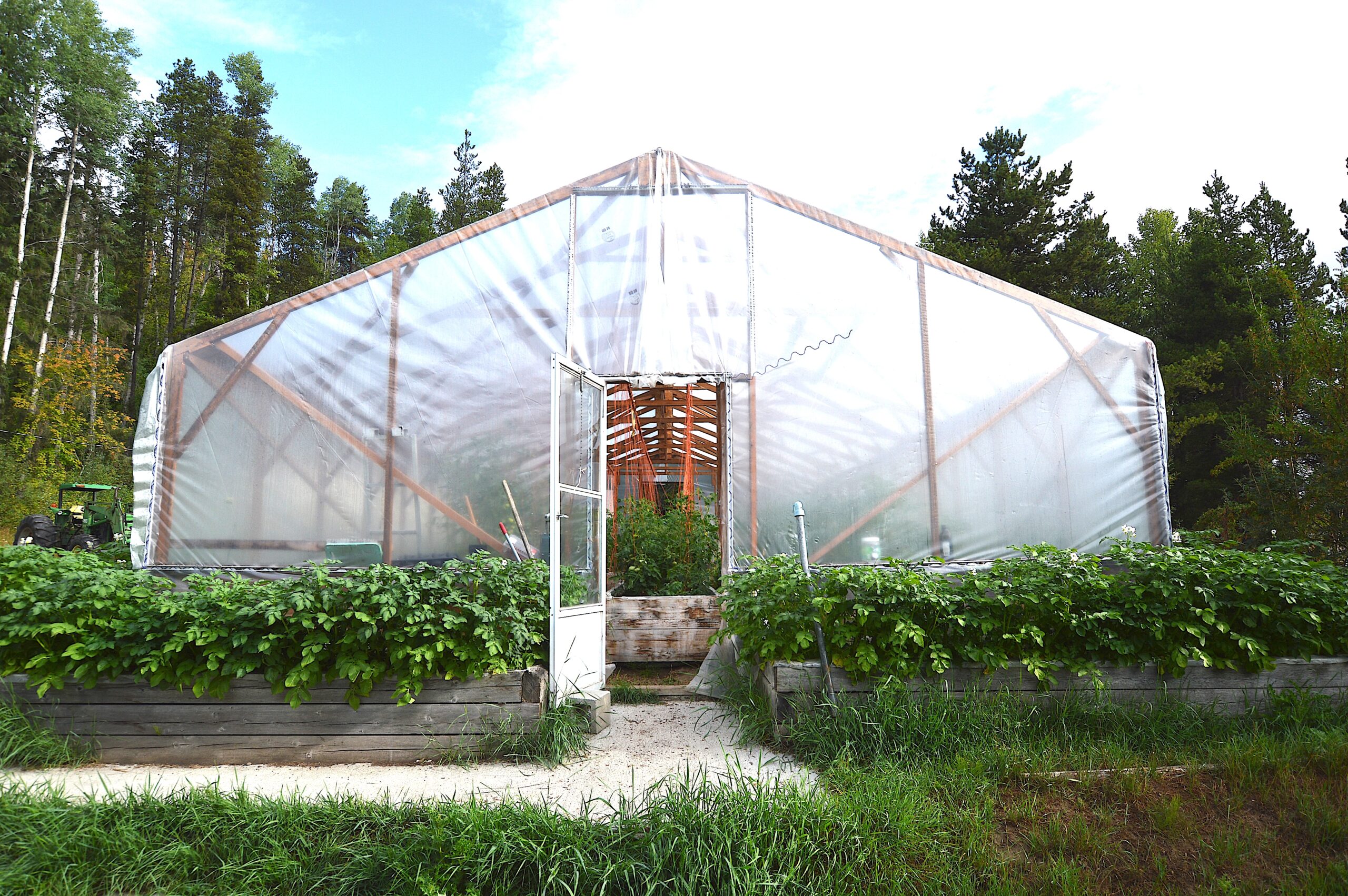 Greenhouse 1
